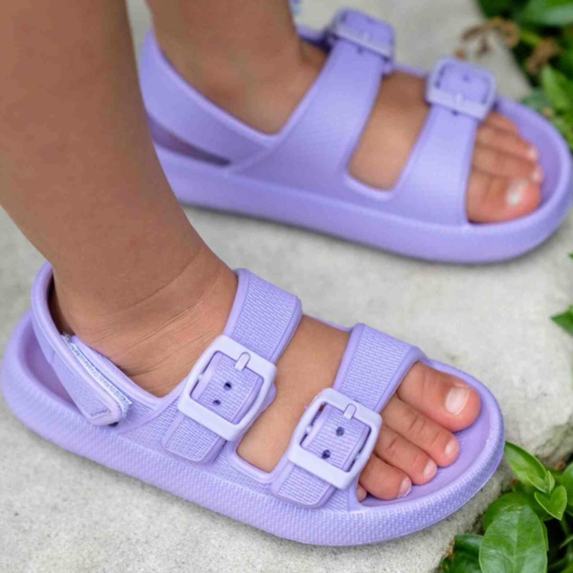 Jamie Sandal