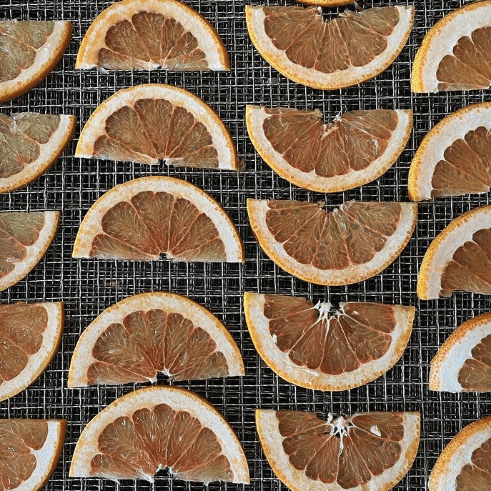 Dehydrated Grapefruit Halves 30g