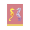 Seahorses Card